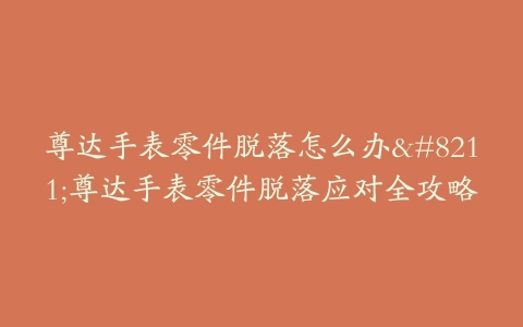 尊达手表零件脱落怎么办--尊达手表零件脱落应对全攻略